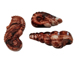 Zeevrucht: zeepaardje - garnaal - lange kokkel